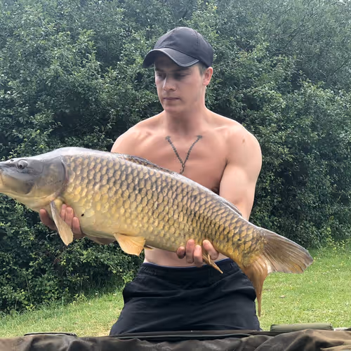 Mr Carpy Carp
