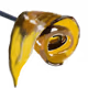 EtherDabs