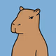 CAPYBARA CAPYBARAAA