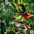 JUNGLE COLLECTION