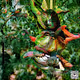 JUNGLE COLLECTION