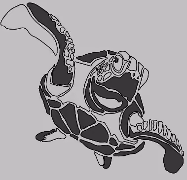 Save your turtle