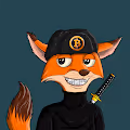 The Spinal Foxes NFT