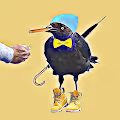 Bad Bird Kink