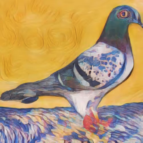 Van Gogh Pigeons Pictures