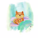 Collection  - FOX - old