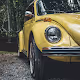 Romero Simpson's Beetle Photo Collection