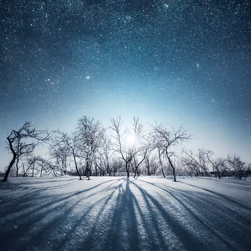 Mikko Lagerstedt Editions