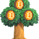 $crypto coin collection