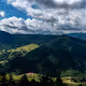 Our amazing nature