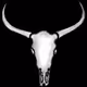 Ram Skulls