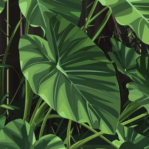 Dylan Wade x Elephants