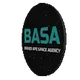 Brainy Ape Space Agency