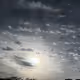 Natural art # - old