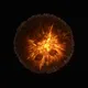 Orbs of Neo Dinamo