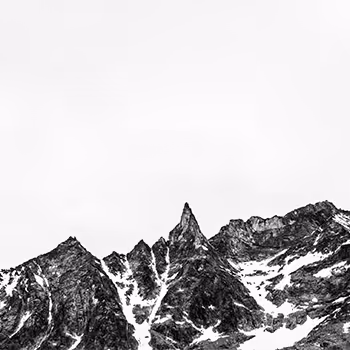 Silver Black & White