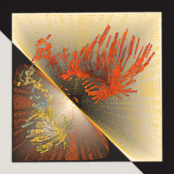 Hintperflections by Paolo Curtoni