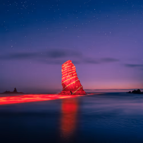 Collector Exclusives