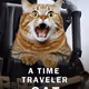 TIME TRAVELER CAT
