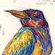 Birds of Treasure