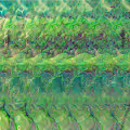 Hidden 3D Wisdom