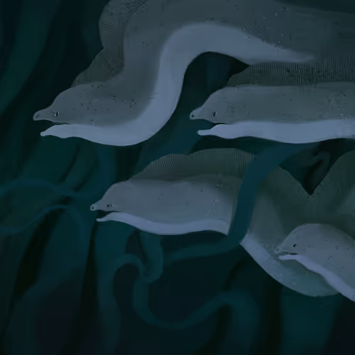 3 Blooming Editions floor 0