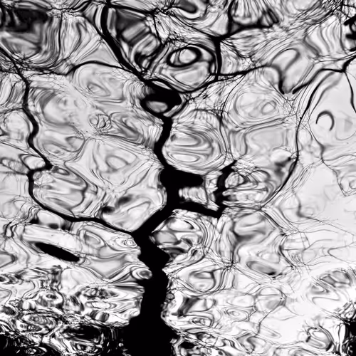 Mario Tome Photography