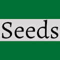 Every Day I Plant A Seed...