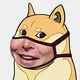 FancyDoge