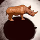 Crypto-Darwin Project