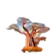 Cysix