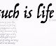 SuchIsLife_markerpoems_byKurtFrenier