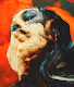 Quivering Afterworld
