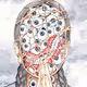 Shintaro Kago - Dessication