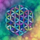 Flower of Life by miss_flower_art