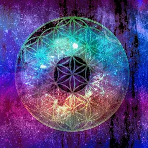 Flower of Life by miss_flower_art