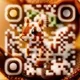 QR code of the future