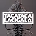 TacaTacaLaCigala