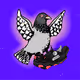 NrG PIGEONZ x CROCS HOMING PIGEON