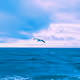 Tranquil Sea