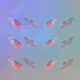 The Koi Group