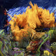 Manifold Still Life Retroactive