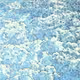 earthsample editions