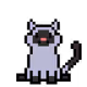 crypto cat cat
