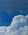 Sky Gallery