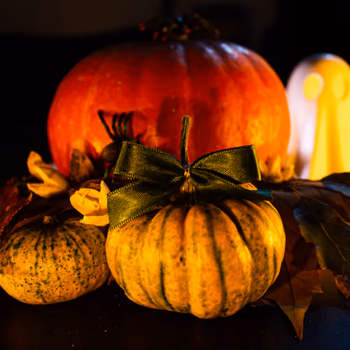 "Trick or treat"