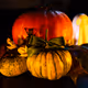 "Trick or treat"