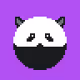 masked panda