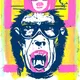 PUNK SIMIAN