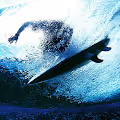 Surfing Photography